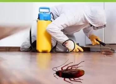 cockroaches-pest-control-services1