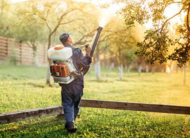 Industrial worker using sprayer for organic pesticide distribution in fruit orchard